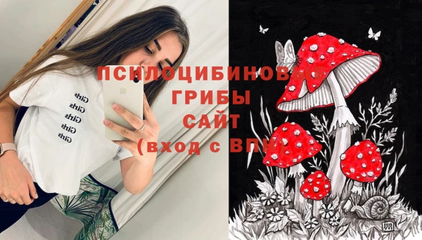 ПСИЛОЦИБИНОВЫЕ ГРИБЫ Алексеевка