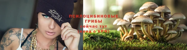прущие крисы Алзамай