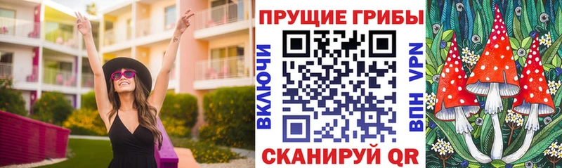 MEGA   Подольск  Псилоцибиновые грибы прущие грибы 